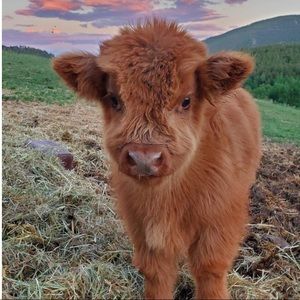 Meet your Posher, Kaitlyn